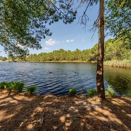 For 5 With A Forest View Apart-hotel