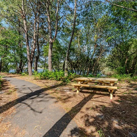 For 5 With A Forest View 3*