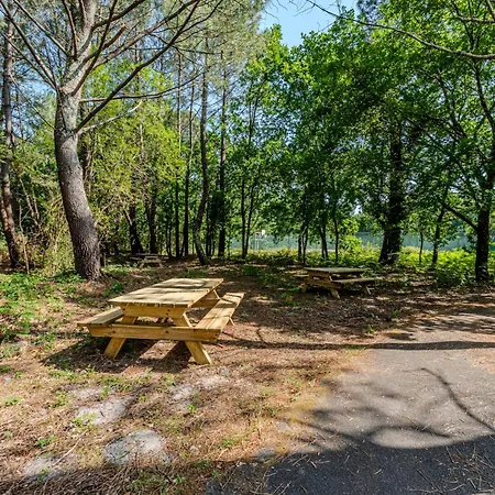 For 5 With A Forest View Apart-hotel